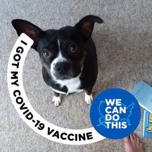 Meet your Posher, Patricia